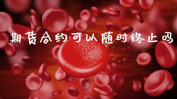 期货合约可以随时终止吗_https://cj006.lansai.wang_金融监管_第1张