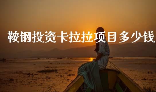 鞍钢投资卡拉拉项目多少钱_https://cj006.lansai.wang_金融监管_第1张