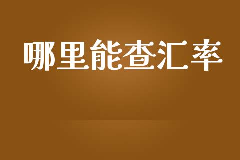 哪里能查汇率_https://cj006.lansai.wang_外汇交易_第1张