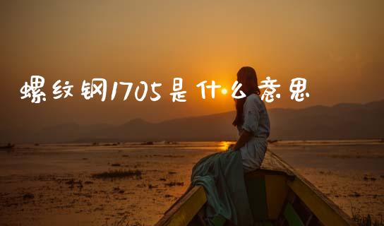 螺纹钢1705是什么意思_https://cj006.lansai.wang_外汇交易_第1张
