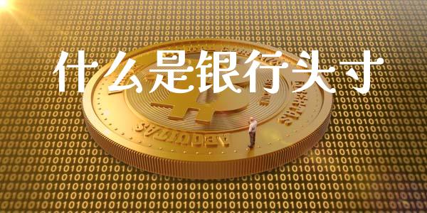 什么是银行头寸_https://cj006.lansai.wang_期货开户_第1张