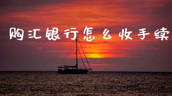 购汇银行怎么收手续_https://cj006.lansai.wang_债券资讯_第1张
