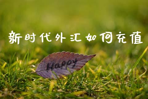 新时代外汇如何充值_https://cj006.lansai.wang_金融监管_第1张