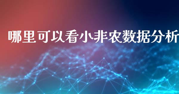哪里可以看小非农数据分析_https://cj006.lansai.wang_外汇交易_第1张