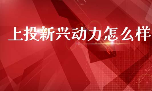 上投新兴动力怎么样_https://cj006.lansai.wang_期货开户_第1张