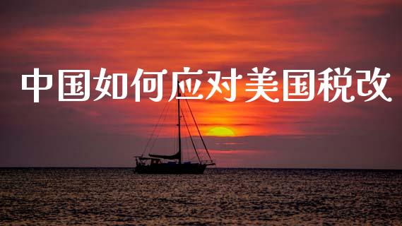 中国如何应对美国税改_https://cj006.lansai.wang_期货开户_第1张